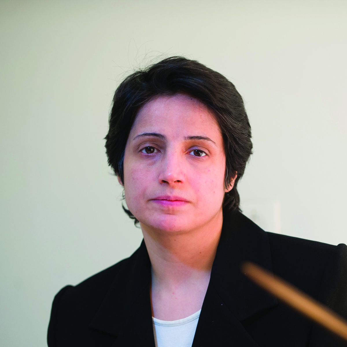 vignette_site_nasrin_sotoudeh.jpg