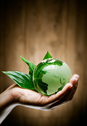 developpement_durable_et_environnement_c_fotolia.jpg