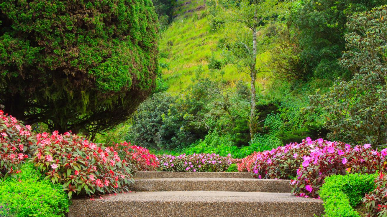 jardins